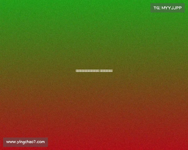 乌迪内斯与维特塞尔展开深入谈判 或将达成转会协议