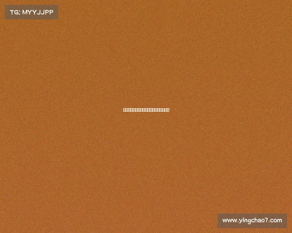 法甲赛季欧冠名额分配规则与争夺形势解析